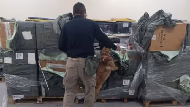 Tras el hallazgo, la mercancía quedó bajo resguardo de la autoridad aduanera, mientras se iniciaron los procedimientos legales correspondientes