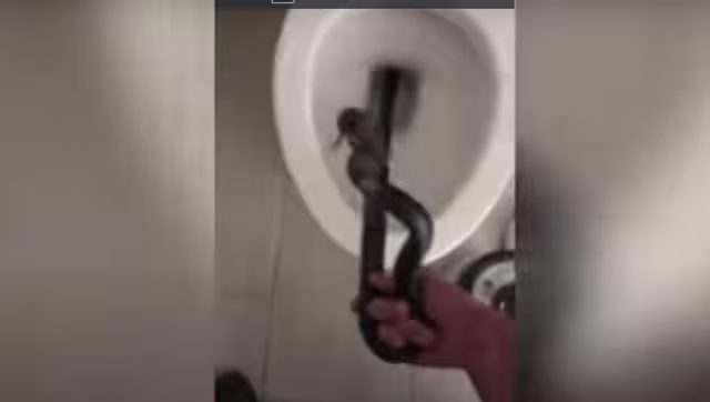 El video comenzó a circular en redes sociales, pero muchos creyeron que era una broma. Foto: Especial