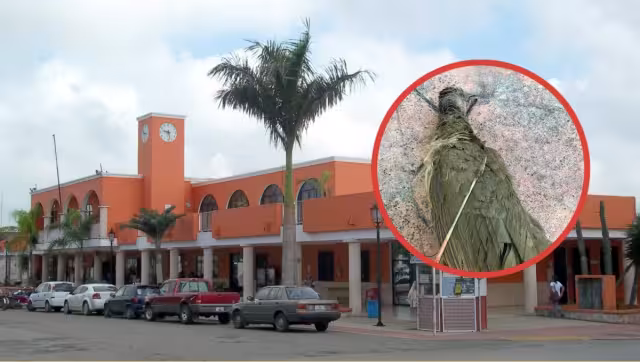 Las aves y las flechas han caído en los patios de los vecinos cercanos