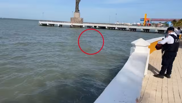 La persona llevaba al menos 20 horas de haber fallecido