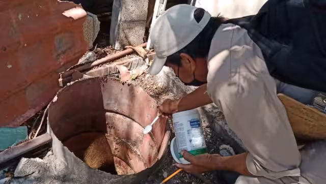 Aedes aegypti es el transmisor de enfermedades como dengue