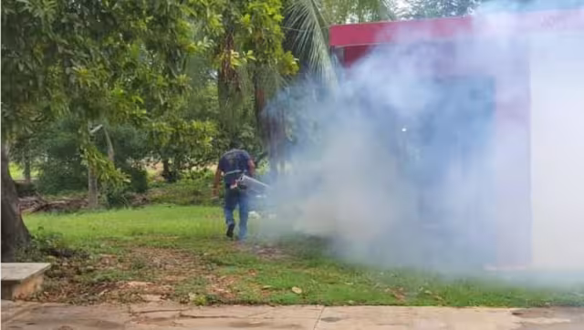 Además de la nebulización, se retiraron todos los objetos que puedan acumular agua.