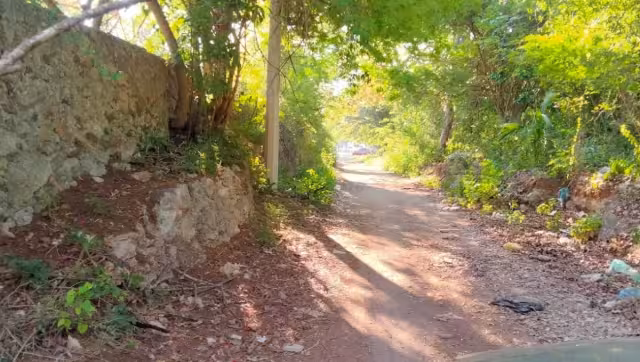 Otro de los dolores de cabeza de la comunidad es la falta de alumbrado público