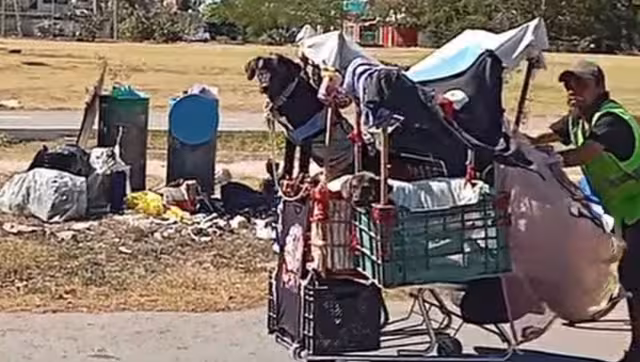 La persona involucrada fue puesta a disposición de las autoridades correspondientes