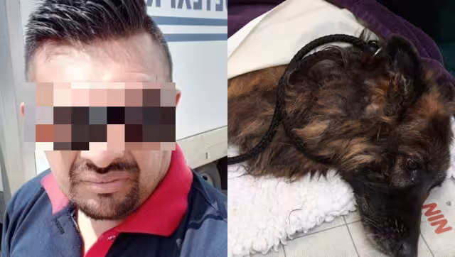 Será en tres meses cuando se reanude la audiencia del hombre acusado por rebanarle la pata a un perro en Umán