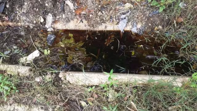 El Ayuntamiento no cuenta con un plan para el rescate de la laguna