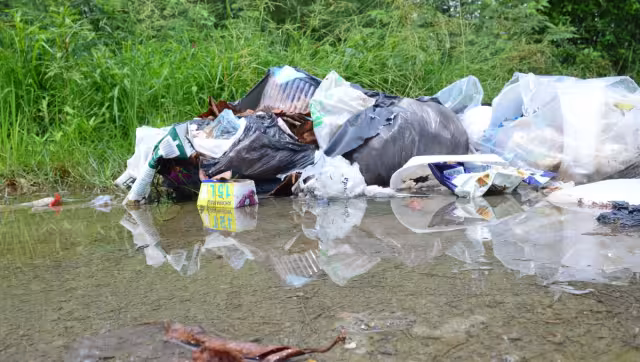 El 80 por ciento de los casos se extinguen con la eliminación de los criaderos