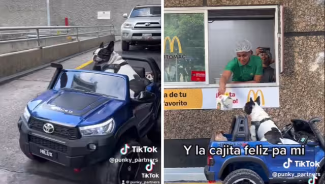 Los empleados de McDonald's aprovecharon para tomarse fotos con el perrito