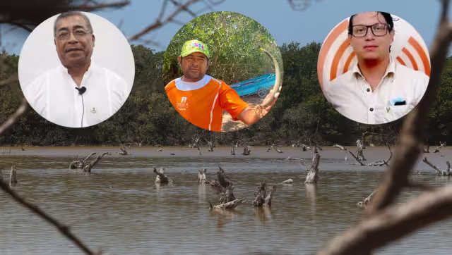 Científicos y ambientalistas de Yucatán rechazaron unánimemente el proyecto inmobiliario Paraíso Sisal