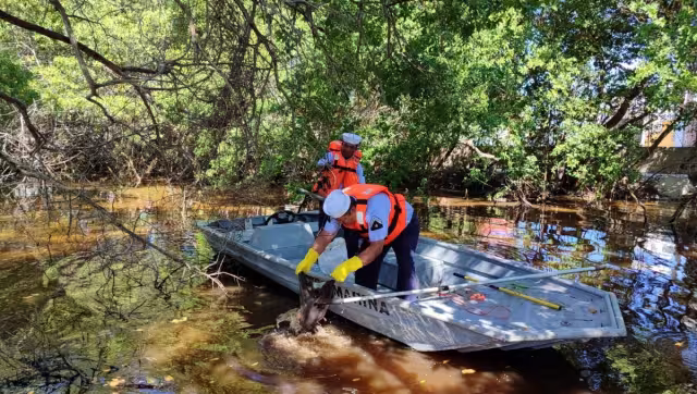 El transporte de residuos corrió por cuenta de ocho vehículos motorizados