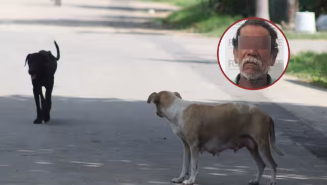 Ocurrió en la comunidad Sergio Buitrón Blanco