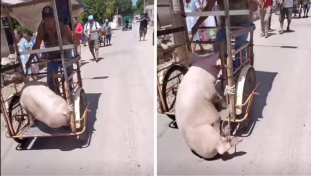 El audio ya se ha usado para una infinidad de videos de caídas en TikTok