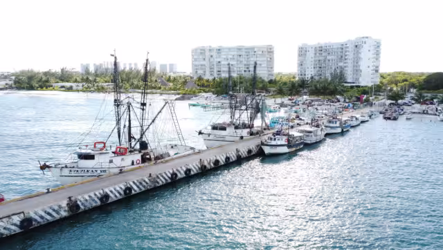 Frenan la construcción de complejos hoteleros y un club de playa.