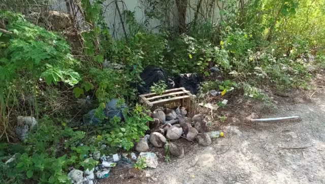 Los colonos de la zona señalaron que desconocen a quién le pertenece el predio