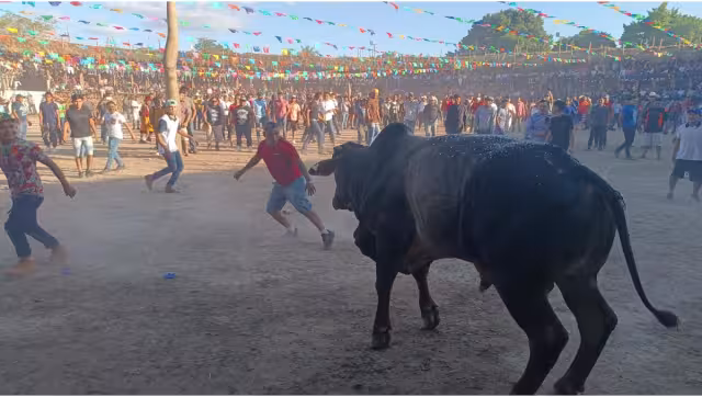 El significado del baxal toro proviene del idioma maya