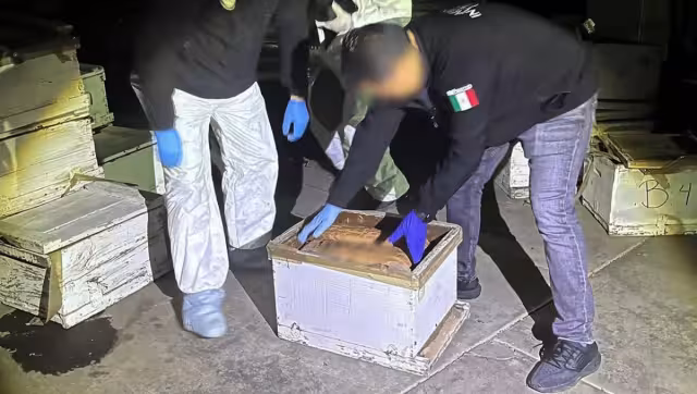 Así fue como la FGR encontró los 200 kilogramos de droga en Sinaloa