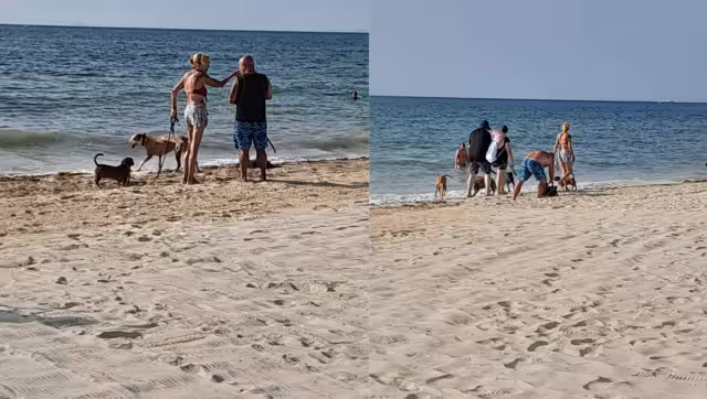 La alcaldesa se había comprometido a realizar una consulta ciudadana para abordar este tema que divide opiniones en la comunidad.