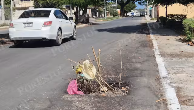 Vecinos colocaron ramas como señal preventiva en una alcantarilla hundida en la avenida Concordia, en Champotón.