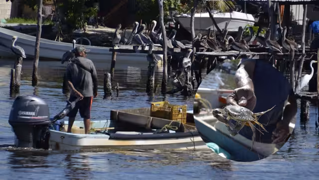 Guardianes de la Naturaleza considera que ninguna autoridad gubernamental pretende solucionarlo