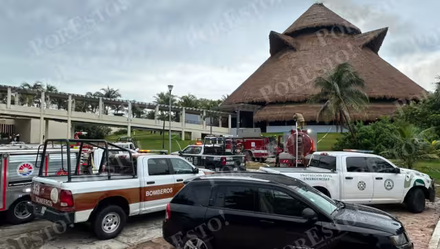 Hasta el momento se desconoce que generó el fuego