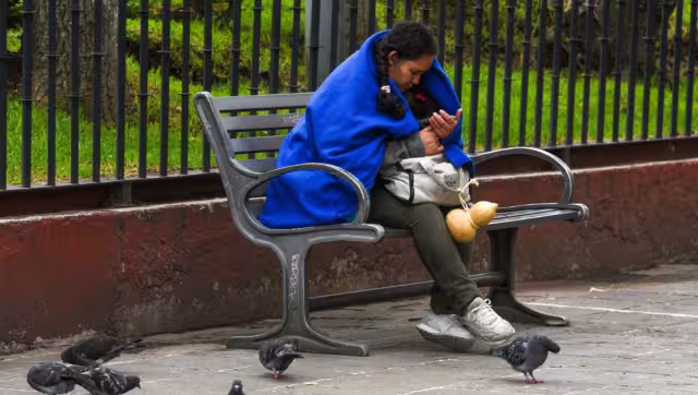 Para la tarde del jueves, se espera que el ambiente sea cálido, con temperaturas que podrían superar los 25 grados Celsius