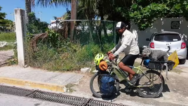 “Tequis”, de siete años, viaja en la parte trasera del vehículo; estuvieron acampando durante cinconoches en Isla Mujeres.