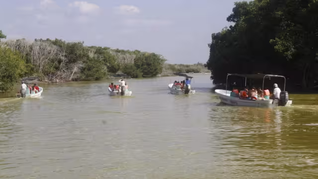 Las selvas bajas y medianas de la reserva natural han disminuido del 24 al 5 por ciento