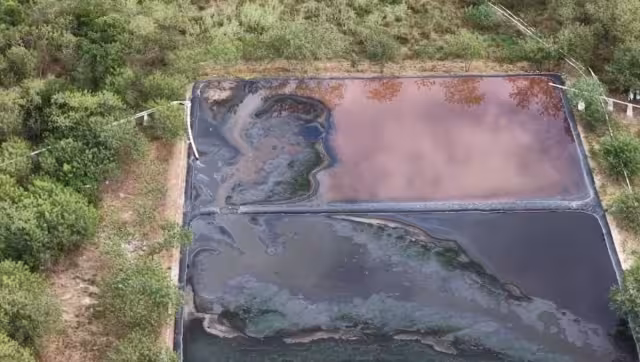 La SDS de Yucatán refuerza la supervisión para que las granjas porcícolas cumplan de manera obligatoria con la NOM-001-SEMARNAT-2021