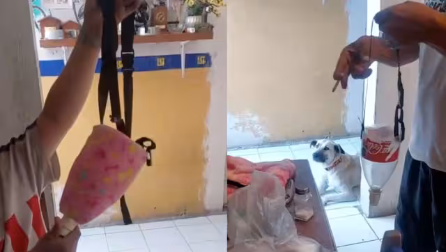 Dueños de una perrita le hace su prótesis con una botella: VIDEO