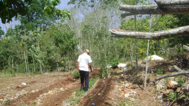 El colectivo advirtió que muchos productores antiguos han abandonado el campo y que los jóvenes se alejan de la agricultura