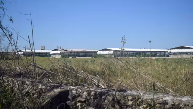 Un total de 300 granjas no aparecen en los registros de la Secretaría de Medio Ambiente