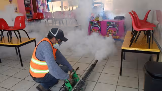 Campeche tiene un registro de 916 casos este 2023