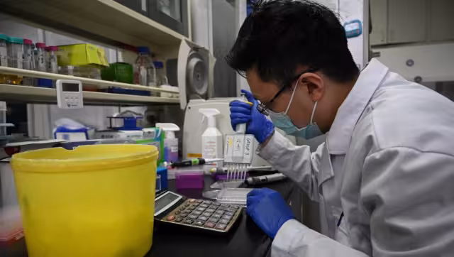 China, donde apareció el coronavirus a fines de 2019, ha reducido el número de nuevos casos del virus gracias a estrictas restricciones fronterizas. Foto: AFP