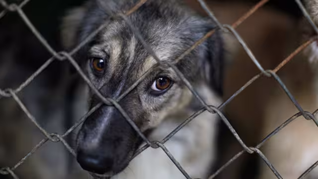 El hombre estará bajo las medidas cautelares todo el tiempo que dure el proceso