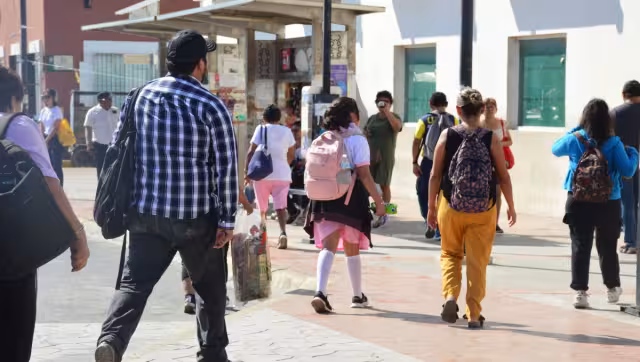 En Campeche, 101 fueron por la vía del ahorcamiento, dos con arma de fuego, uno degollado y dos con pastillas