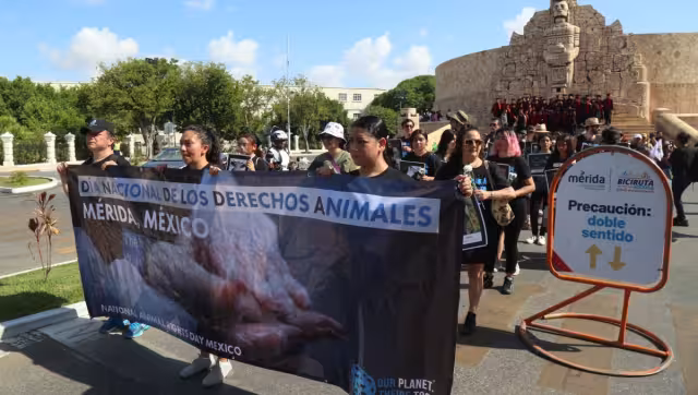 La marcha acabó en el Remate de Montejo con una degustación vegana