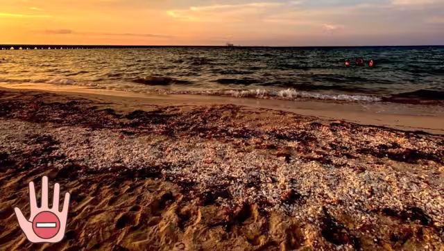 Las cámaras captaron a la pareja en Progreso