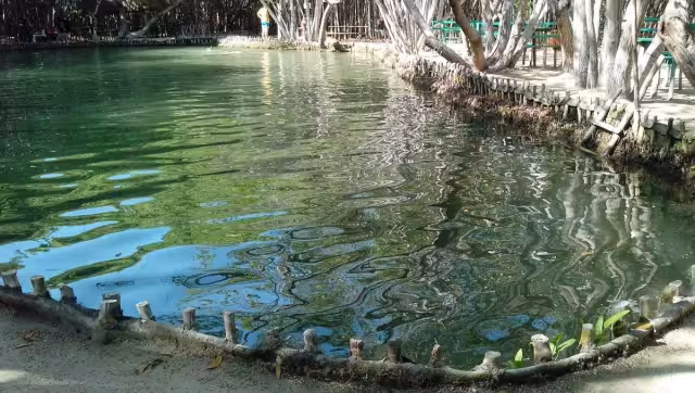 "El Corchito" se encuentra a 36 kilómetros de Mérida