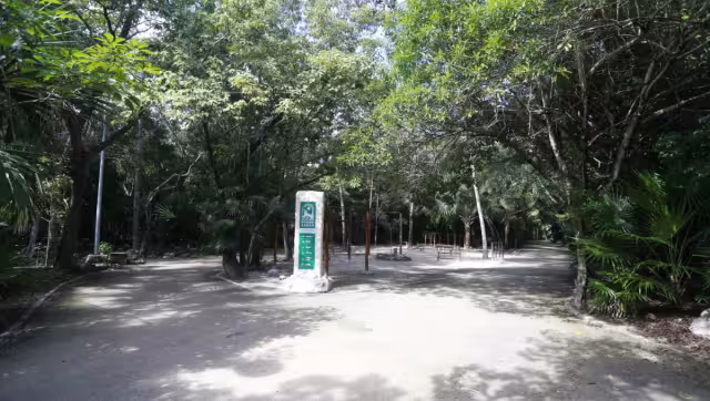 El sitio tiene un evidente estado de deterioro, como los senderos.