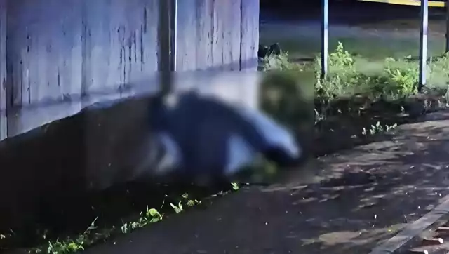 Se desconoce la causa de muerte del hombre en el Periférico de Mérida