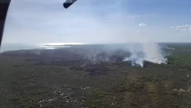 Sofocan incendio forestal en la Reserva Estatal Santuario del Manatí.
