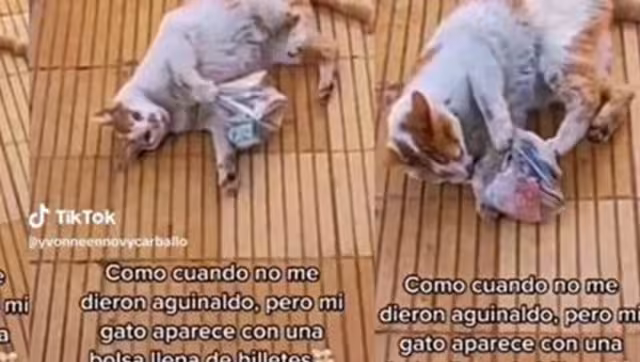 El michi llegó con la Karen a darle el dinero. Foto: Especial