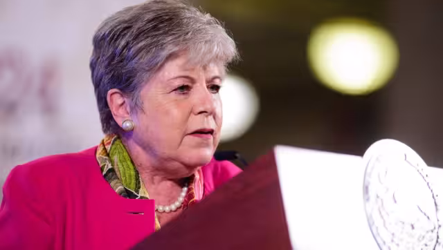 La canciller Alicia Bárcena expuso este jueves los reclamos en la demanda contra Ecuador ante la Corte Internacional de Justicia: