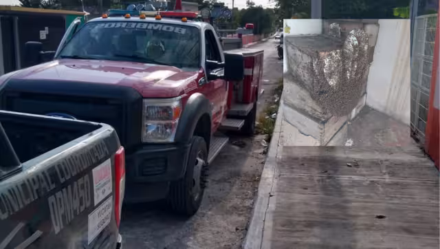 El hombre fue trasladado al hospital San Carlos para atender las picaduras