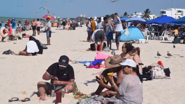 ¿Cuál es la superficie designada por Semarnat?