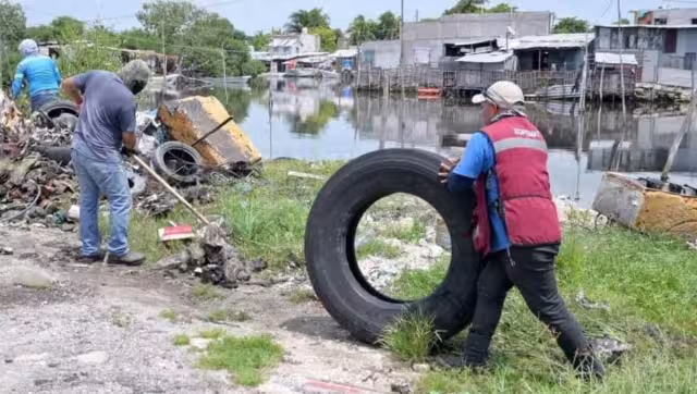 El comercio de títulos falsos en Ciudad del Carmen se ha vuelto incontrolable