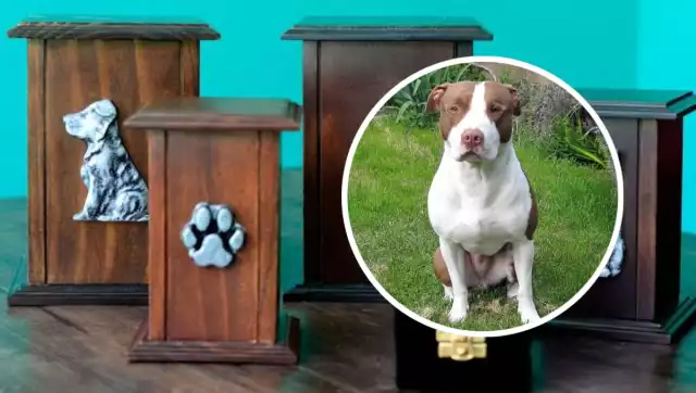 Cliente alerta en Facebook sobre crematorio de mascotas en Mérida