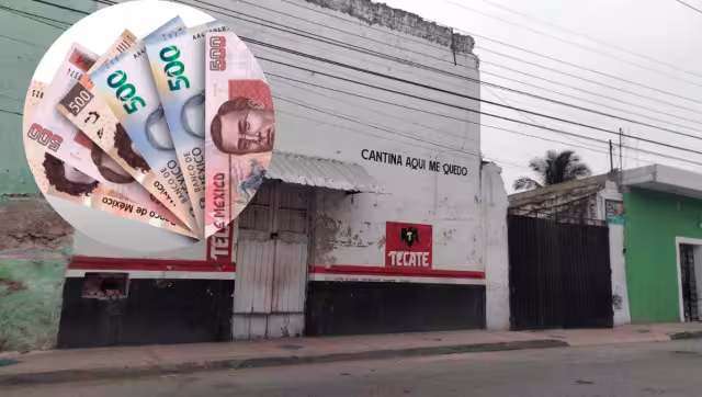 Durante estos días fueron dos los casos registrados con estos ejemplares chafas que continúan circulando en la localidad