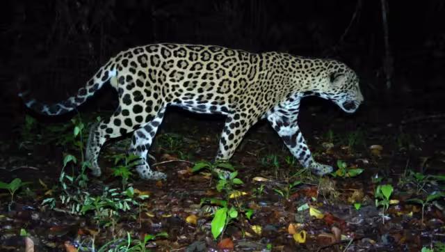 Los espacios entran en operaciones desde hoy 1 de diciembre