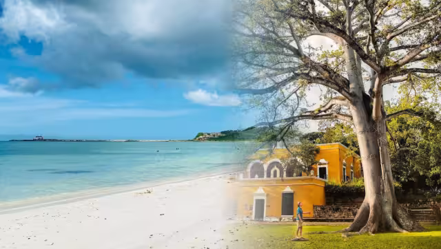 Seybaplaya: Su nombre proviene de la palabra maya “Seyba”, que hace referencia a la ceiba, árbol sagrado de la cultura maya.